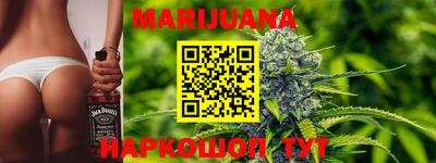 дживик Моздок