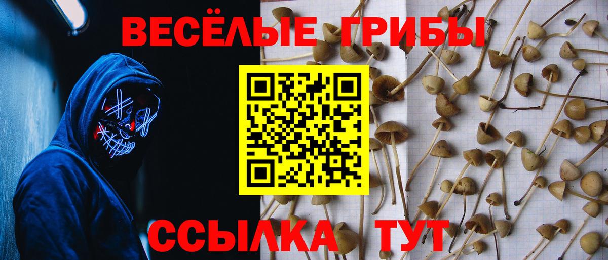 Псилоцибиновые грибы Psilocybe  Вход с VPN  где продают   Великий Устюг  Псилоцибиновые грибы MAGIC MUSHROOMS 